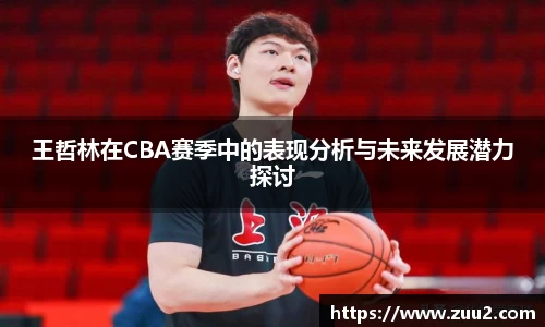 王哲林在CBA赛季中的表现分析与未来发展潜力探讨